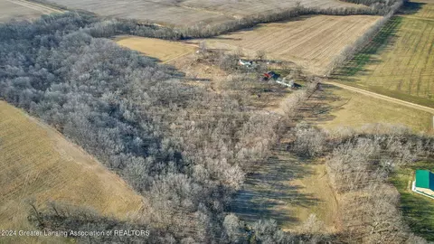 View/Area - 12265 W Maple Rapids Rd, Fowler, MI 48835 photo 5 of 12