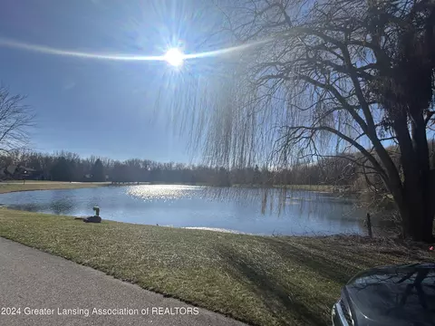 View/Area - 4406 Carmine Ct, Dewitt, MI 48820 photo 2 of 2