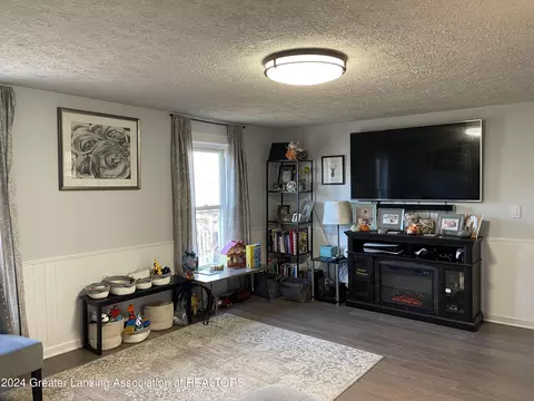 Living - 207 E Washington St, Dimondale, MI 48821 photo 3 of 3