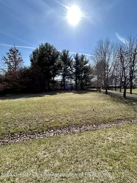 V/l Doyle Road, Laingsburg, MI 48848