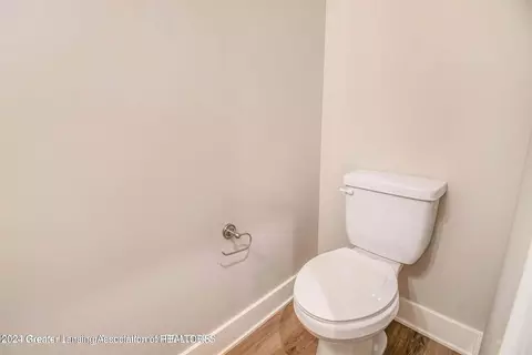 14010 Pristine Ct, Dewitt, MI 48820 photo 18