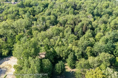 2051 E Herbison Rd, Bath, MI 48808 photo 12