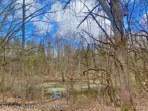Parcel B/c Bath Road, Perry, MI 48872 photo 19