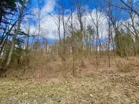 Parcel B/c Bath Road, Perry, MI 48872 photo 21