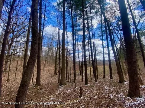 Parcel B/c Bath Road, Perry, MI 48872 photo 11