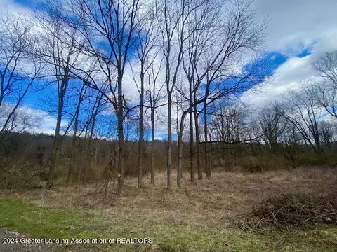 Parcel B/c Bath Road, Perry, MI 48872 photo 16