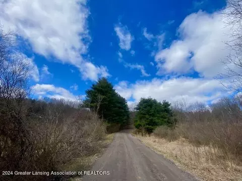 Parcel B/c Bath Road, Perry, MI 48872 photo 4