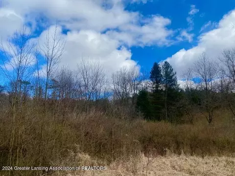 Parcel B/c Bath Road, Perry, MI 48872 photo 18