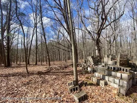 Parcel B/c Bath Road, Perry, MI 48872 photo 8