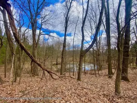 Parcel B/c Bath Road, Perry, MI 48872