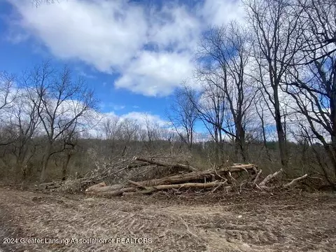 Parcel B/c Bath Road, Perry, MI 48872 photo 15