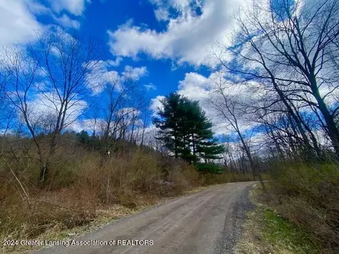 Parcel B/c Bath Road, Perry, MI 48872 photo 6