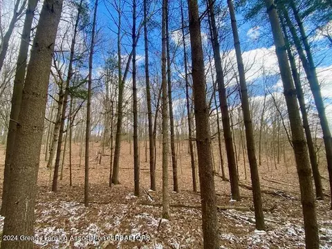 Parcel B/c Bath Road, Perry, MI 48872 photo 10