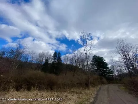 Parcel B/c Bath Road, Perry, MI 48872 photo 17