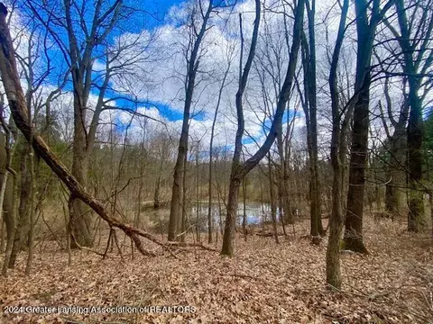Parcel B/c Bath Road, Perry, MI 48872 photo 20