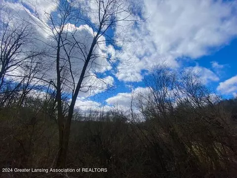 Parcel B/c Bath Road, Perry, MI 48872 photo 5