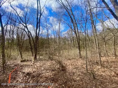Parcel B/c Bath Road, Perry, MI 48872 photo 7