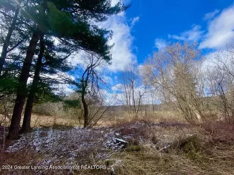 Parcel B/c Bath Road, Perry, MI 48872 photo 2