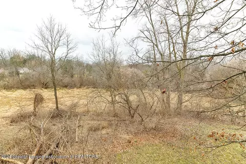 View/Area - 13840 Clinton St, Bath, MI 48808 photo 1 of 1