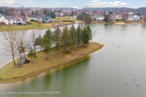 View/Area - 12940 Serenity Pl, Dewitt, MI 48820 photo 8 of 9