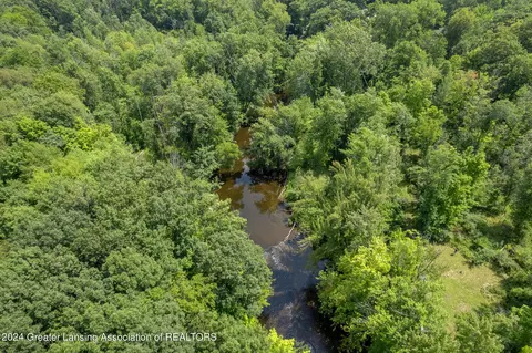 View/Area - 11108 Eden Trl, Eagle, MI 48822 photo 6 of 9