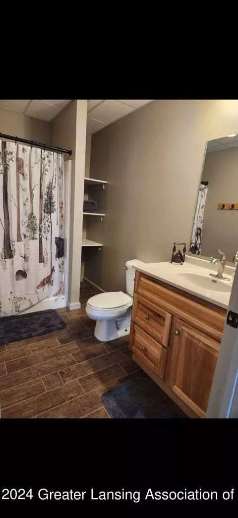 3245 S Watson Rd, Saint Johns, MI 48879 photo 9