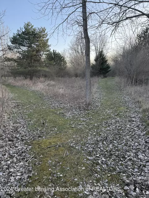 View/Area - 13180 Upton Rd, Bath, MI 48808 photo 1 of 3