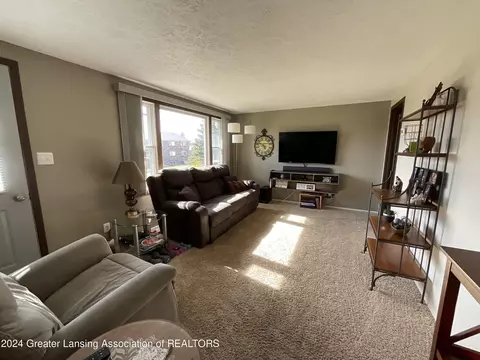 Living - 171 1st St, Olivet, MI 49076 photo 1 of 2