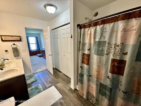 Bath - 6482 Firefly Dr, Holt, MI 48842 photo 3 of 5