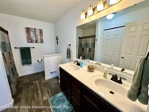 Bath - 6482 Firefly Dr, Holt, MI 48842 photo 2 of 5