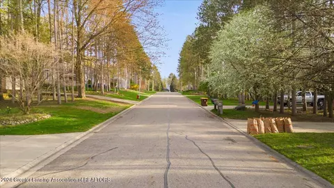 View/Area - 13151 White Pine Dr, Dewitt, MI 48820 photo 1 of 4