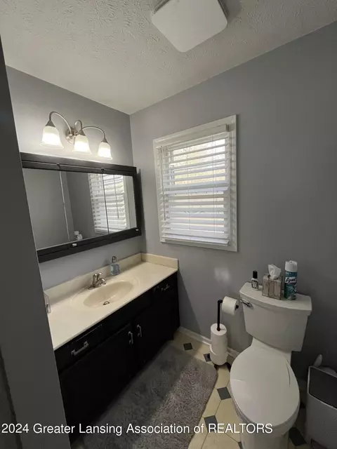 Bath - 301 Windy Rush Ln #73, Dewitt, MI 48820 photo 1 of 2
