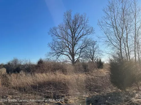 Na Lemon Road, Bancroft, MI 48414 photo 3