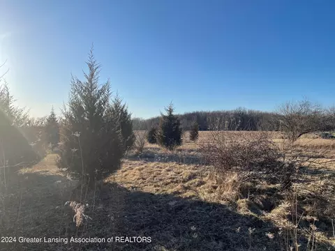 Na Lemon Road, Bancroft, MI 48414 photo 5