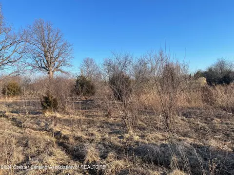 Na Lemon Road, Bancroft, MI 48414 photo 4