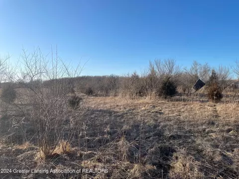 Na Lemon Road, Bancroft, MI 48414