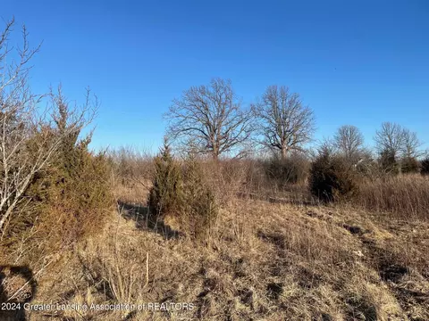 Na Lemon Road, Bancroft, MI 48414 photo 8