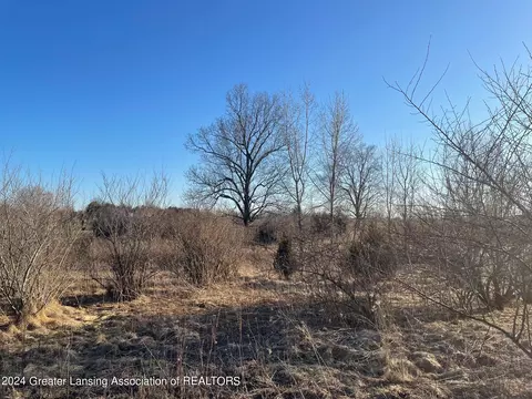 Na Lemon Road, Bancroft, MI 48414 photo 6