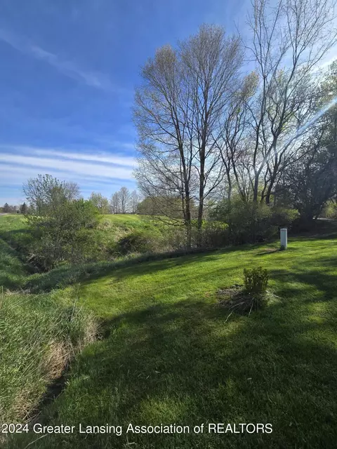 View/Area - 10723 S Wright Rd, Eagle, MI 48822 photo 2 of 5