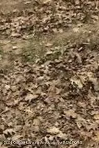 5408 Glendale Dr, Harrison, MI 48625 photo 7