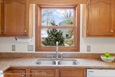 501 W Brunswick Dr, Dewitt, MI 48820 photo 19