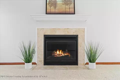 501 W Brunswick Dr, Dewitt, MI 48820 photo 11