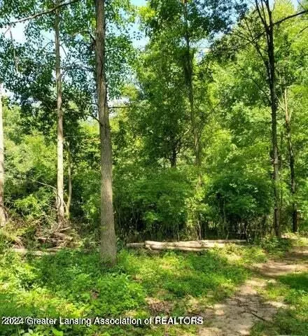Parcel C Springport Road, Parma, MI 49269 photo 2