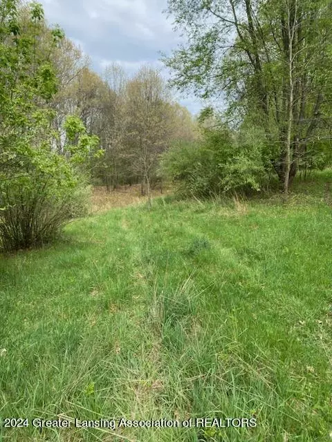 Parcel C Springport Road, Parma, MI 49269 photo 14