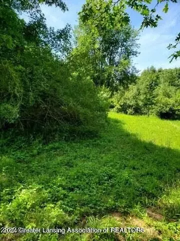 Parcel C Springport Road, Parma, MI 49269 photo 7