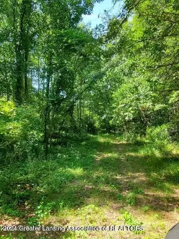 Parcel C Springport Road, Parma, MI 49269 photo 5