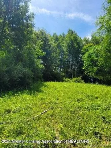 Parcel C Springport Road, Parma, MI 49269 photo 10