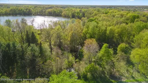 View/Area - 8358 Loomis Rd, Dewitt, MI 48820 photo 7 of 8