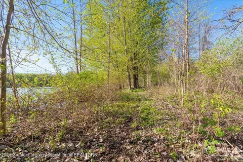 Other - 8358 Loomis Rd, Dewitt, MI 48820 photo 15 of 18