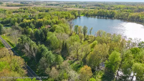 View/Area - 8358 Loomis Rd, Dewitt, MI 48820 photo 6 of 8